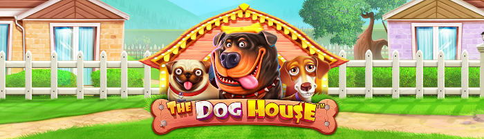 the dog house