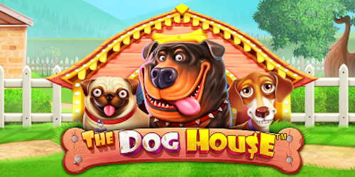 the dog house